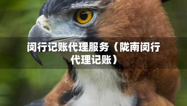 闵行记账代理服务（陇南闵行代理记账）