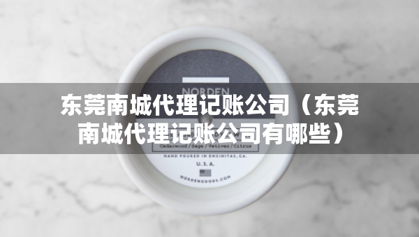 东莞南城代理记账公司（东莞南城代理记账公司有哪些）