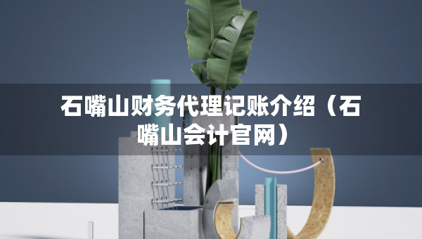 石嘴山财务代理记账介绍（石嘴山会计官网）