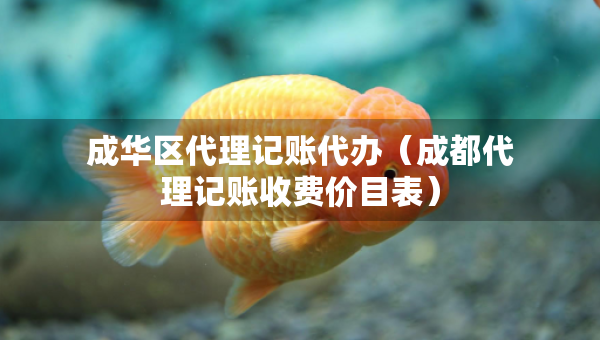 成华区代理记账代办（成都代理记账收费价目表）