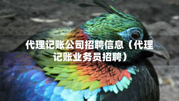 代理记账公司招聘信息（代理记账业务员招聘）