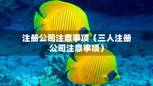 注册公司注意事项（三人注册公司注意事项）