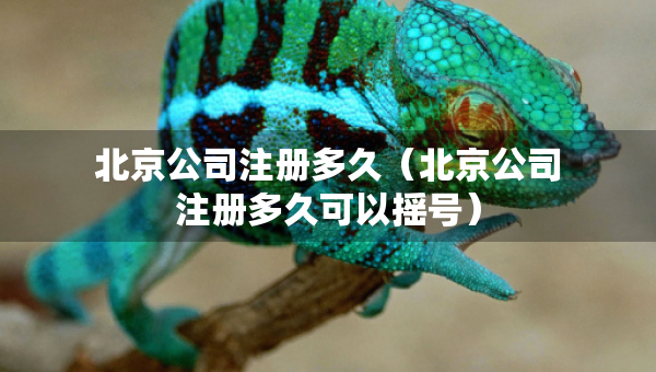 北京公司注册多久（北京公司注册多久可以摇号）
