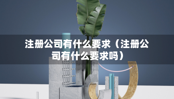 注册公司有什么要求（注册公司有什么要求吗）