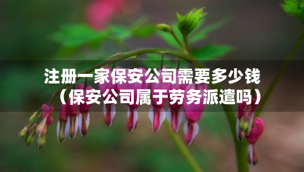 注册一家保安公司需要多少钱（保安公司属于劳务派遣吗）