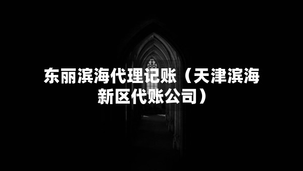 东丽滨海代理记账（天津滨海新区代账公司）