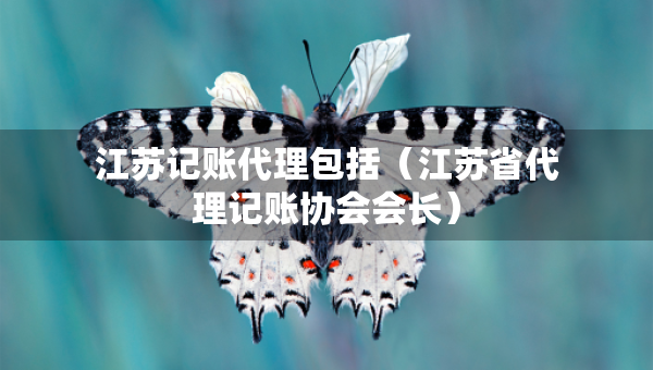 江苏记账代理包括（江苏省代理记账协会会长）
