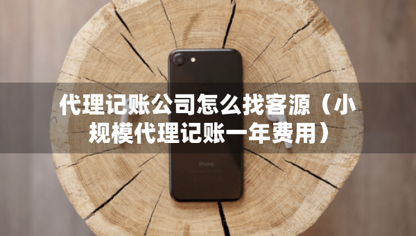 代理记账公司怎么找客源（小规模代理记账一年费用）