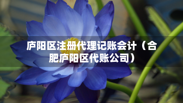 庐阳区注册代理记账会计（合肥庐阳区代账公司）