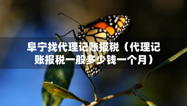 阜宁找代理记账报税（代理记账报税一般多少钱一个月）