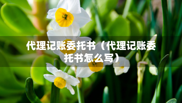 代理记账委托书（代理记账委托书怎么写）