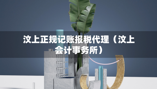 汶上正规记账报税代理（汶上会计事务所）