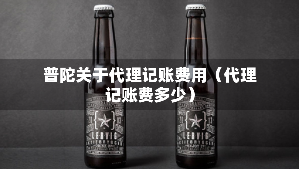 普陀关于代理记账费用（代理记账费多少）