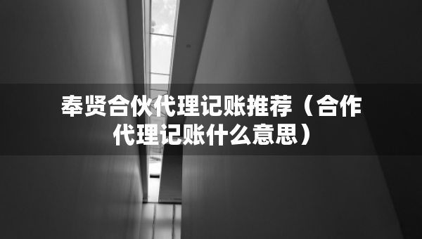 奉贤合伙代理记账推荐（合作代理记账什么意思）