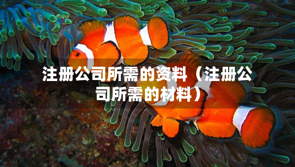 注册公司所需的资料（注册公司所需的材料）