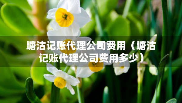 塘沽记账代理公司费用（塘沽记账代理公司费用多少）
