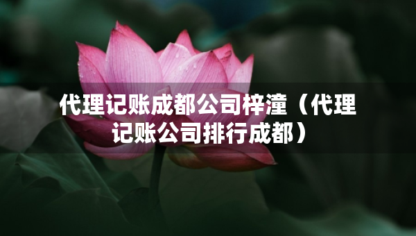 代理记账成都公司梓潼（代理记账公司排行成都）