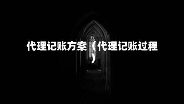 代理记账方案（代理记账过程）