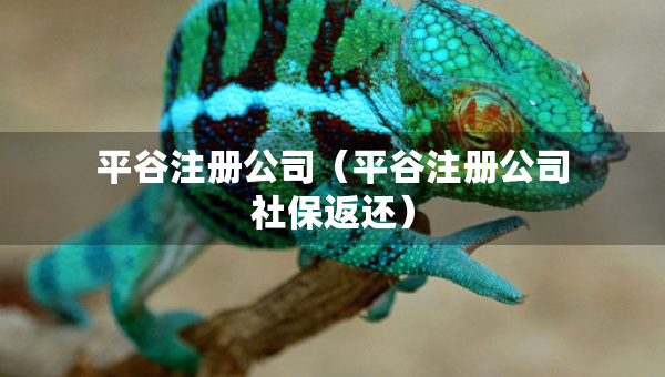 平谷注册公司（平谷注册公司社保返还）