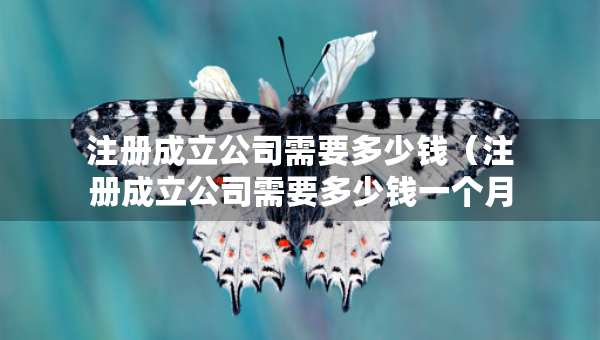 注册成立公司需要多少钱（注册成立公司需要多少钱一个月）