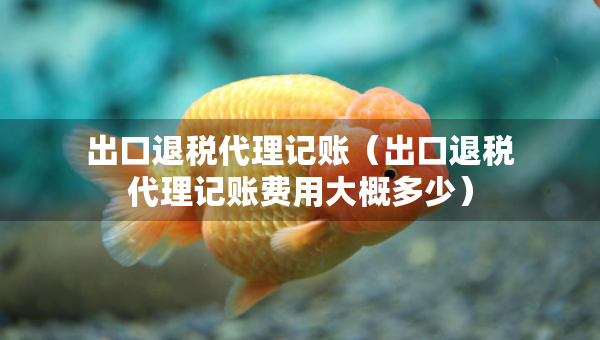 出口退税代理记账（出口退税代理记账费用大概多少）