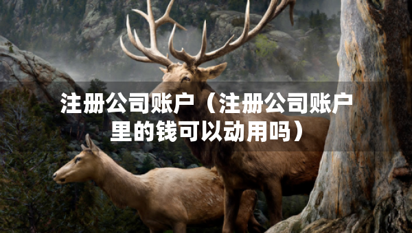 注册公司账户（注册公司账户里的钱可以动用吗）