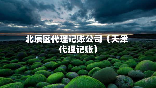 北辰区代理记账公司（天津 代理记账）