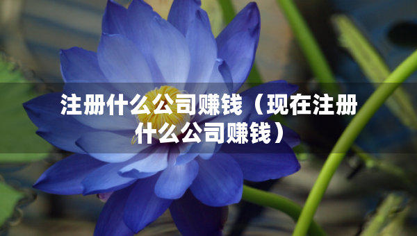 注册什么公司赚钱（现在注册什么公司赚钱）