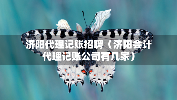 济阳代理记账招聘（济阳会计代理记账公司有几家）