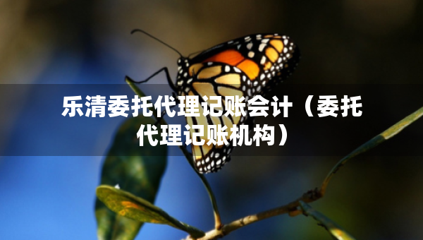 乐清委托代理记账会计（委托代理记账机构）