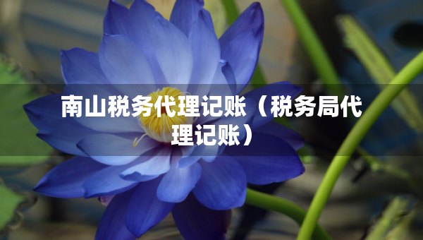南山税务代理记账（税务局代理记账）