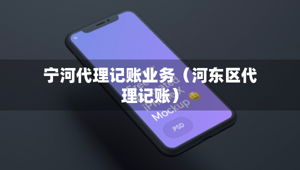 宁河代理记账业务（河东区代理记账）