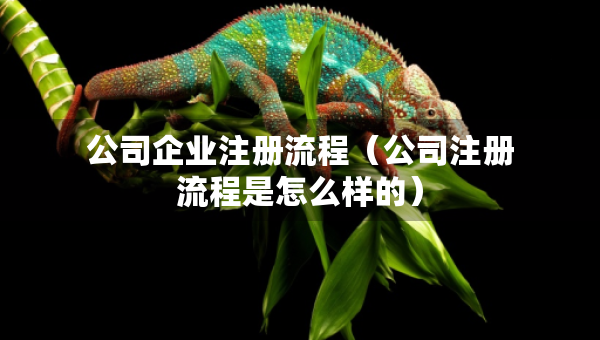 公司企业注册流程（公司注册流程是怎么样的）