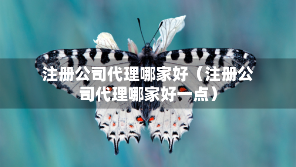 注册公司代理哪家好（注册公司代理哪家好一点）