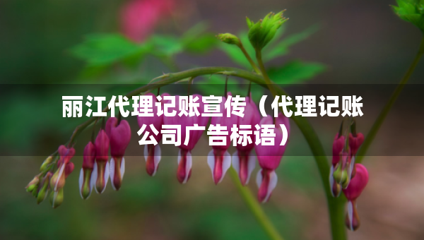 丽江代理记账宣传（代理记账公司广告标语）