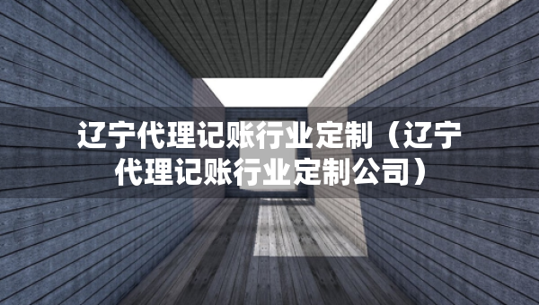 辽宁代理记账行业定制（辽宁代理记账行业定制公司）