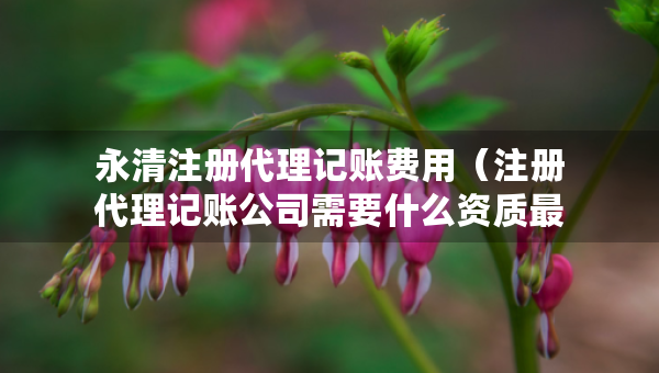 永清注册代理记账费用（注册代理记账公司需要什么资质最新）