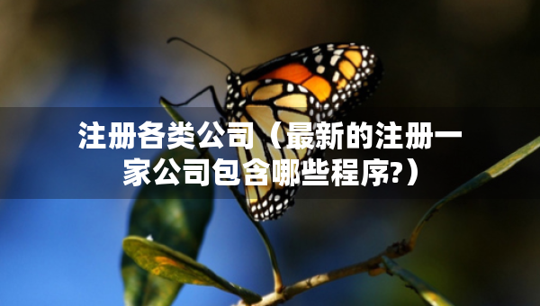 注册各类公司（最新的注册一家公司包含哪些程序?）