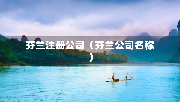 芬兰注册公司（芬兰公司名称）