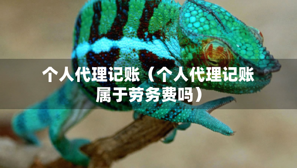 个人代理记账（个人代理记账属于劳务费吗）