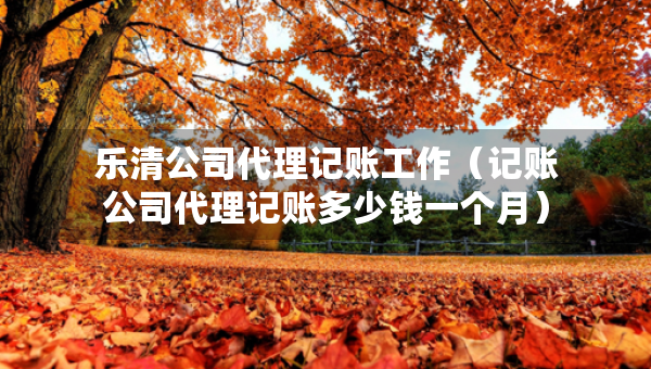 乐清公司代理记账工作（记账公司代理记账多少钱一个月）