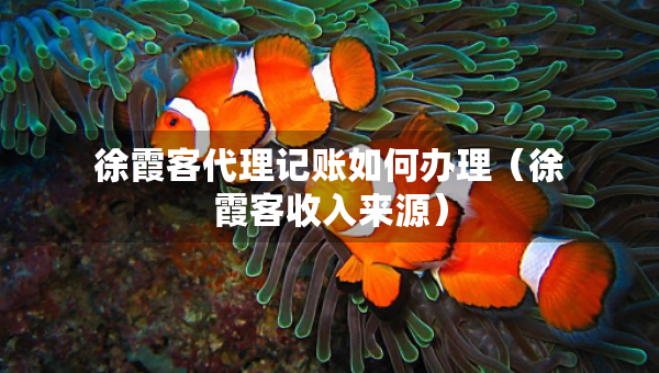 徐霞客代理记账如何办理（徐霞客收入来源）
