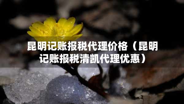 昆明记账报税代理价格（昆明记账报税清凯代理优惠）