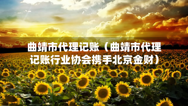 曲靖市代理记账（曲靖市代理记账行业协会携手北京金财）
