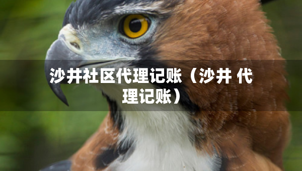 沙井社区代理记账（沙井 代理记账）