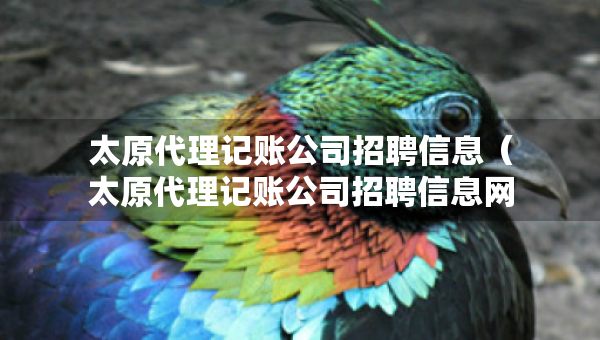 太原代理记账公司招聘信息（太原代理记账公司招聘信息网）