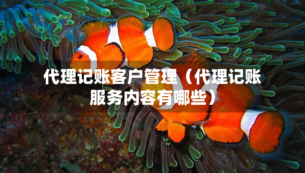 代理记账客户管理（代理记账服务内容有哪些）