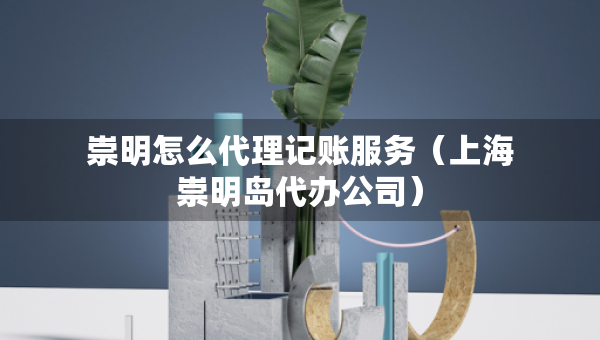 崇明怎么代理记账服务（上海崇明岛代办公司）