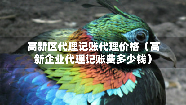 高新区代理记账代理价格（高新企业代理记账费多少钱）