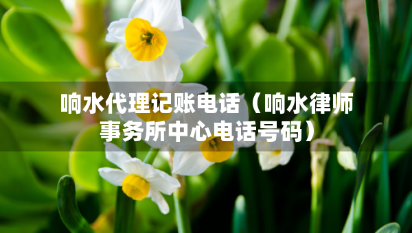 响水代理记账电话（响水律师事务所中心电话号码）